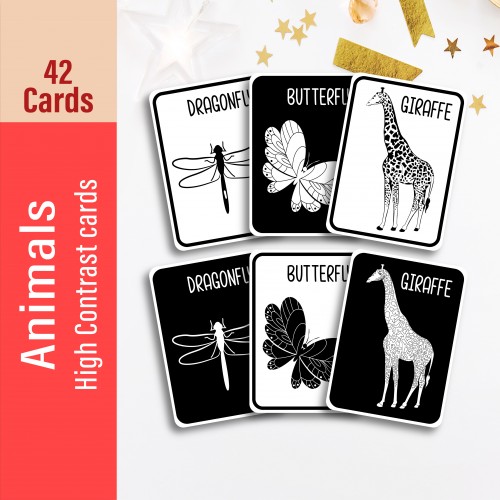 Animals With Names High Contrast Baby Cards