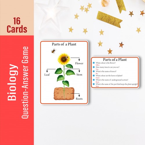 Biology Question-Answer Game Cards