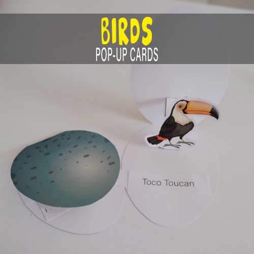 Bird Pop-Up Cards
