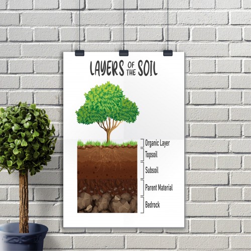 Layers of the Soil Poster