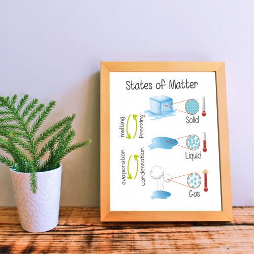 States of Matter Poster