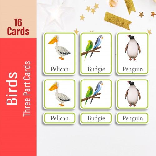 Birds Three Part Cards