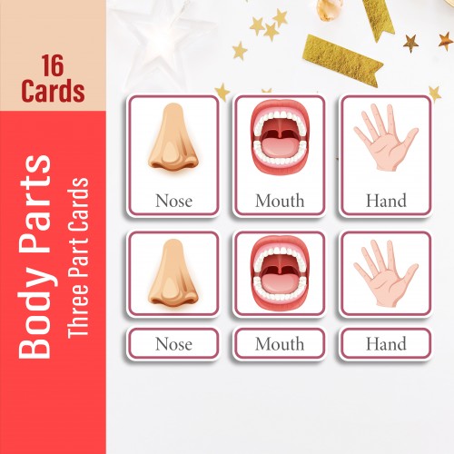 Body Part Three Part Cards