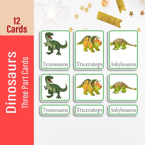 Dinosaur Three Part Cards