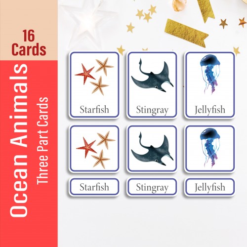 Ocean Animal Three Part Cards