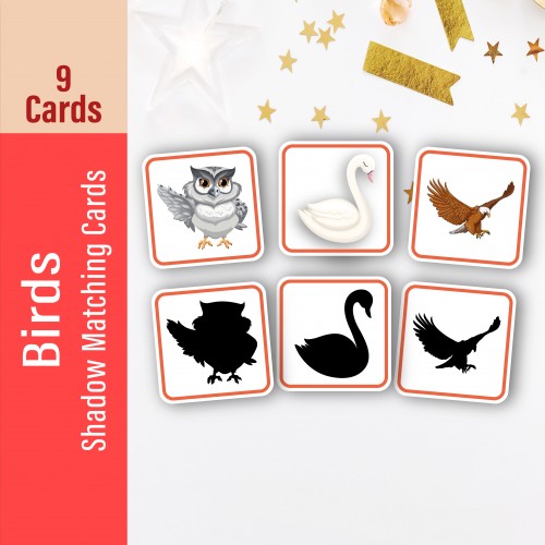 Bird Shadow Matching Cards