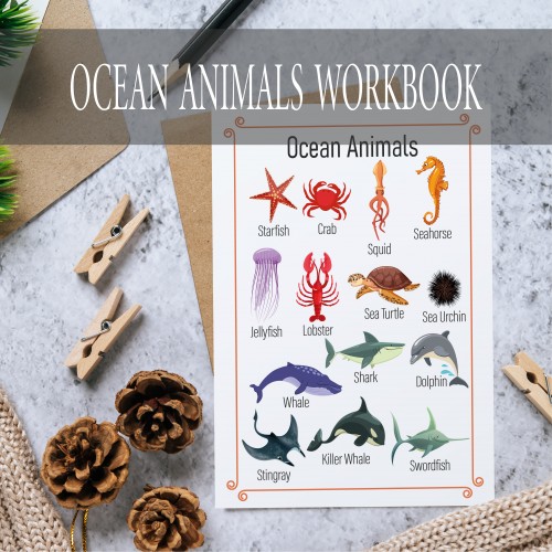 Ocean Animal Workbook